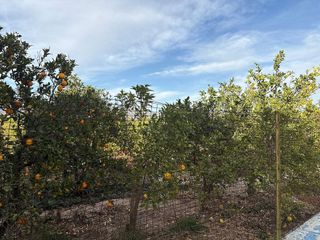 Chalet en venta en Albatera