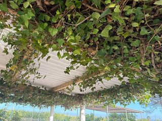 Chalet en venta en Albatera