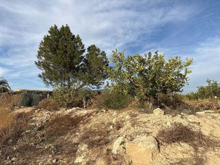 Chalet en venta en Albatera