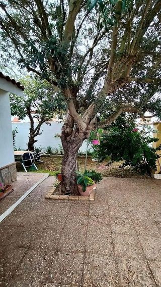 Chalet en venta en Las Lagunas - Campano en Chiclana de la Frontera