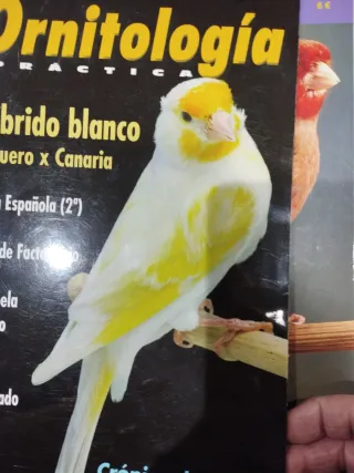 5 Revistas Ornitología Práctica (Lote)