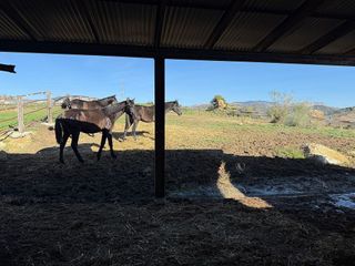 Chalet en venta en Álora