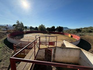 Chalet en venta en Álora