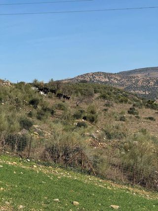 Chalet en venta en Álora