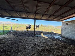 Chalet en venta en Álora