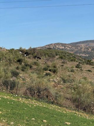 Chalet en venta en Álora