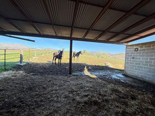 Chalet en venta en Álora