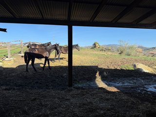 Chalet en venta en Álora