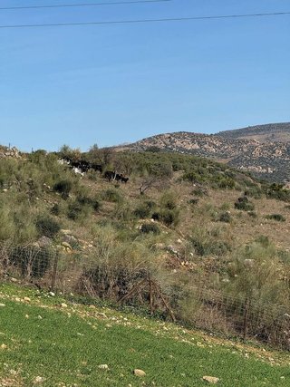 Chalet en venta en Álora