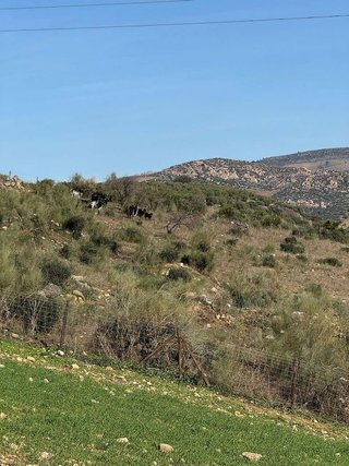 Chalet en venta en Álora