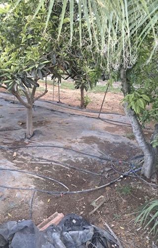 Casa rural en venta en Oromana en Alcalá de Guadaira