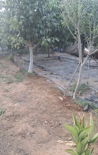 Casa rural en venta en Oromana en Alcalá de Guadaira