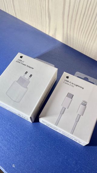 Caricabatterie Apple completo con cavo Lightning in regalo