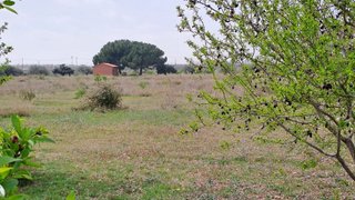 Casa rural en venta en Constantí
