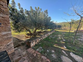 Masía en venta en Useras/Useres (les)