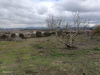 Casa rural en venta en Medina-Sidonia