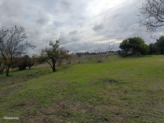 Casa rural en venta en Medina-Sidonia
