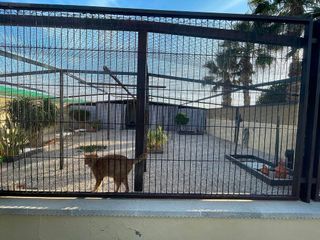 Casa rural en venta en El Pla de Sant Josep - L'Asil en Elche