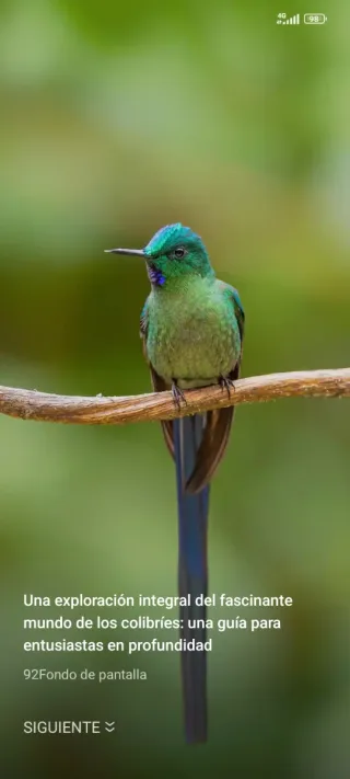 Cuidados de mayores soy una mujer seria y responsa