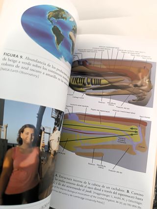 Pack 2 Libros: Exploración del Mar