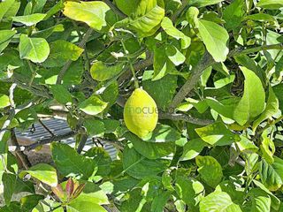 Casa rural en venta en Cuevas del Almanzora pueblo en Cuevas del Almanzora