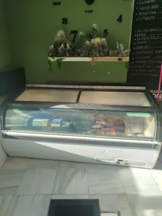 Congelador industrial