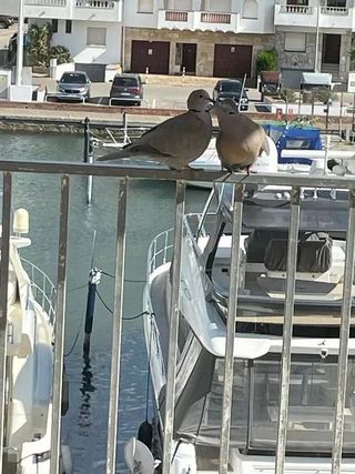 Piso en venta en Empuriabrava en Castelló d´Empúries