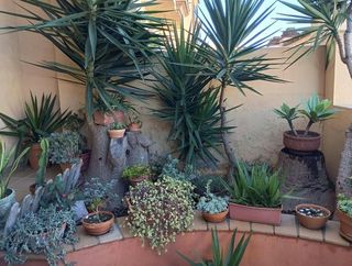 Chalet en venta en La Granja-La Colina-Los Pastores en Algeciras