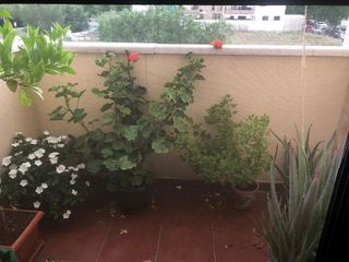 Piso en venta en Universidad en Ciudad Real