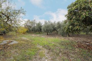 Casa rural en venta en Gójar