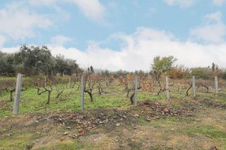 Casa rural en venta en Gójar