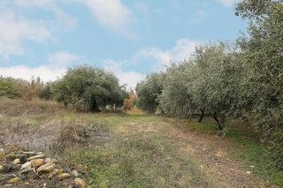 Casa rural en venta en Gójar