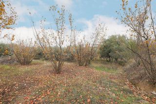 Casa rural en venta en Gójar