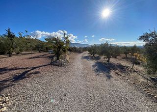 Casa en venta en Sax