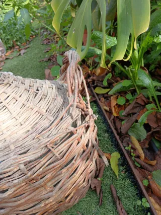 Lote 2 bottiglie antiche in vetro