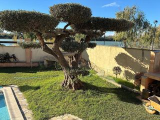 Chalet en venta en Deltebre