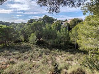 Chalet en venta en Pinar de Campoverde en Pilar de la Horadada