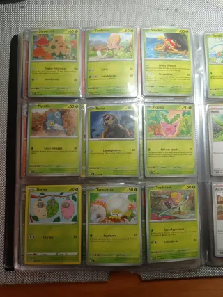 Carte Pokemon Shroomish, Toedscool, Shuckle, ecc.