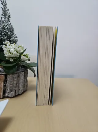 Todas esas cosas que te diré mañana / Everythin...