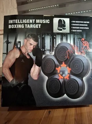 Diana Boxeo Musical Inteligente