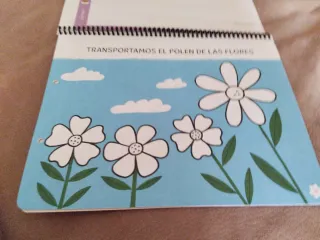 CUANTO SABEMOS NIVEL 2 LA ABEJA