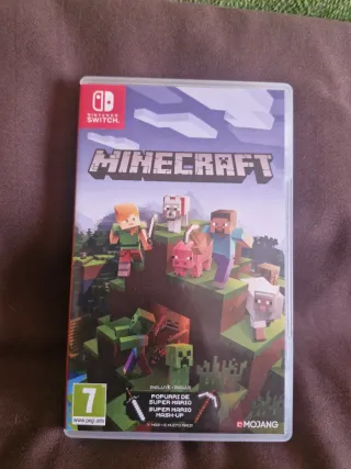 Minecraft Nintendo Switch