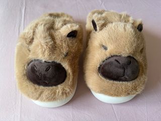 Zapatillas Capibara Unisex Talla 39-40 + calcetine