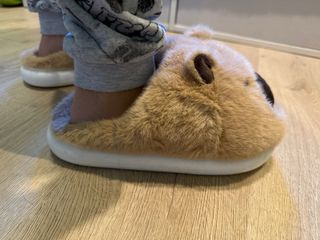 Zapatillas Capibara Unisex Talla 39-40 + calcetine