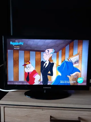 Samsung TV 19 pulgadas