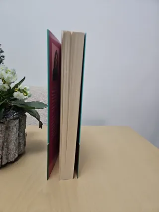 Las reglas del juego / The Cheat Sheet (Spanish...