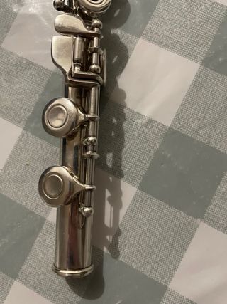 Flauta travesera con estuche