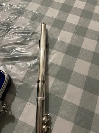 Flauta travesera con estuche