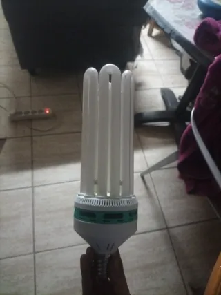 Solux Bloom CFL-150W 2700K.