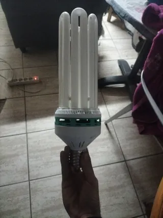 Solux Bloom CFL-150W 2700K.